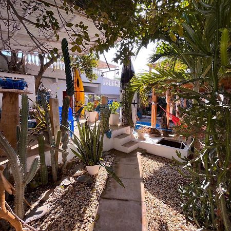 Hostal Palohe تاجانجا المظهر الخارجي الصورة
