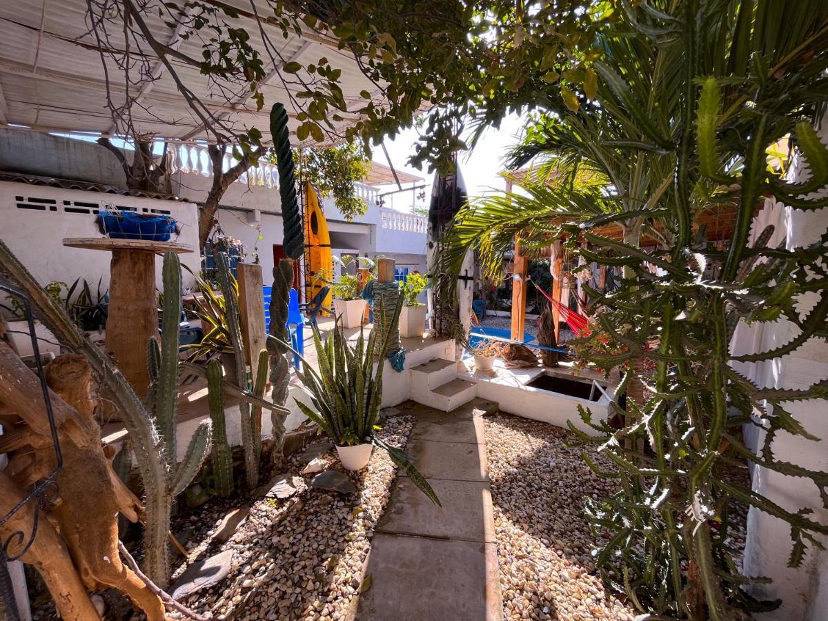 Hostal Palohe تاجانجا المظهر الخارجي الصورة