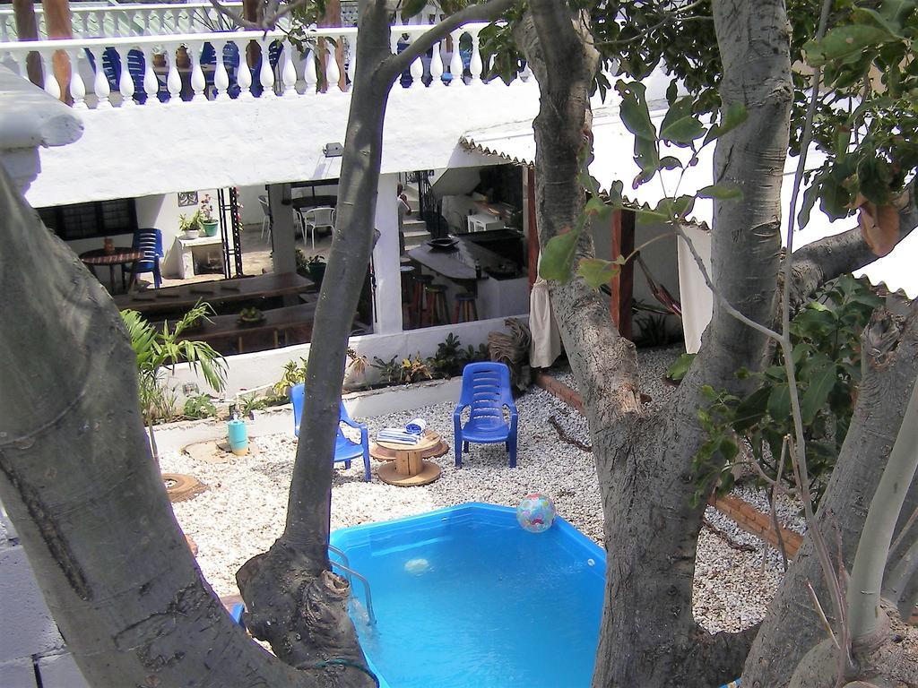 Hostal Palohe تاجانجا المظهر الخارجي الصورة