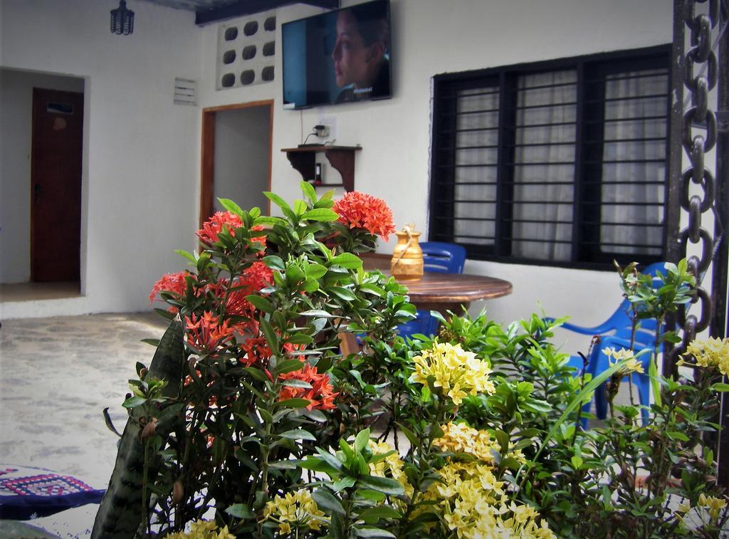 Hostal Palohe تاجانجا المظهر الخارجي الصورة