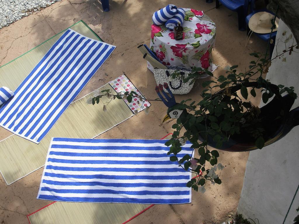 Hostal Palohe تاجانجا المظهر الخارجي الصورة