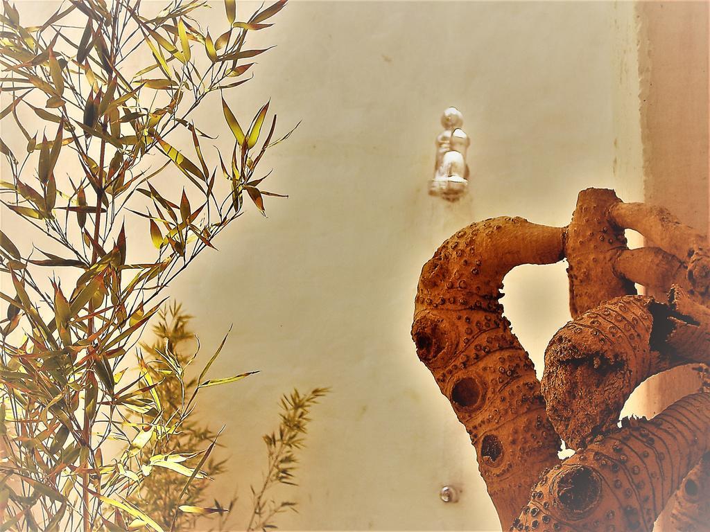 Hostal Palohe تاجانجا المظهر الخارجي الصورة