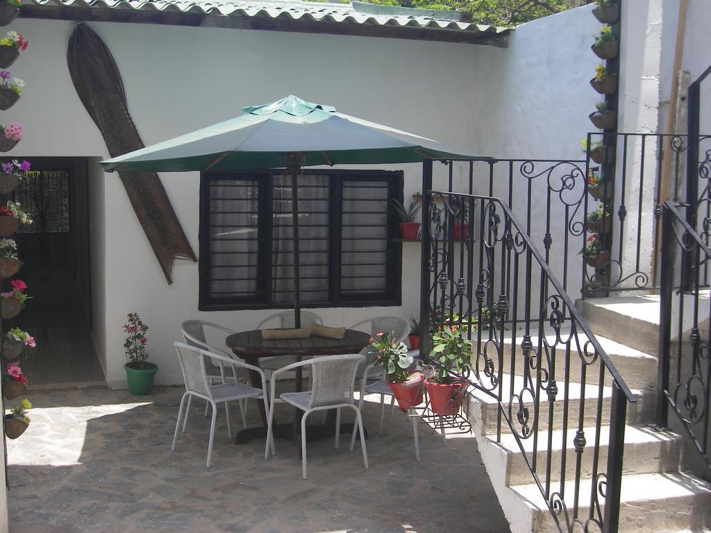 Hostal Palohe تاجانجا المظهر الخارجي الصورة