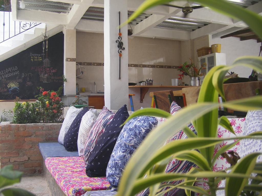 Hostal Palohe تاجانجا المظهر الخارجي الصورة