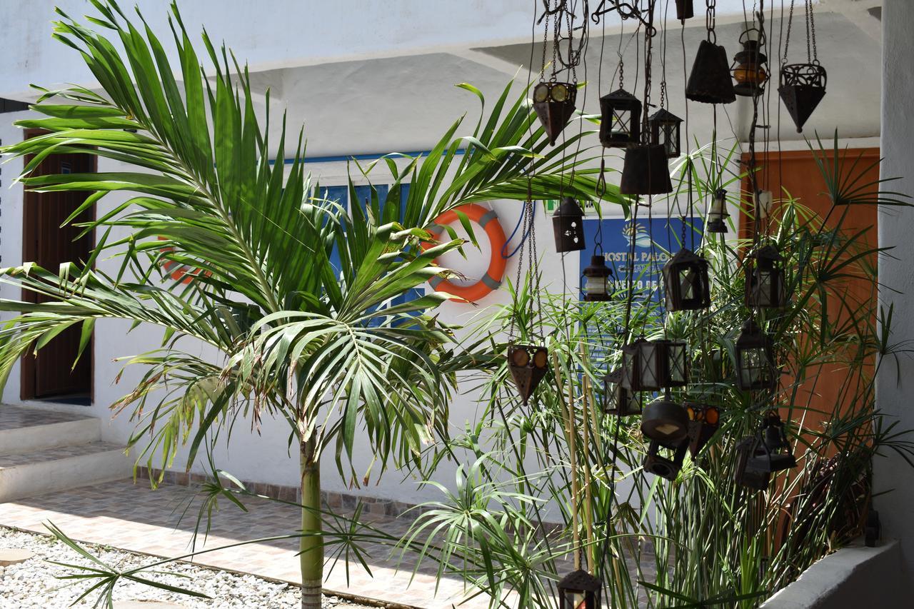 Hostal Palohe تاجانجا المظهر الخارجي الصورة