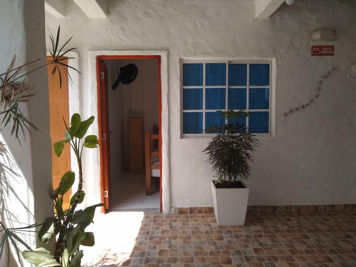 Hostal Palohe تاجانجا المظهر الخارجي الصورة
